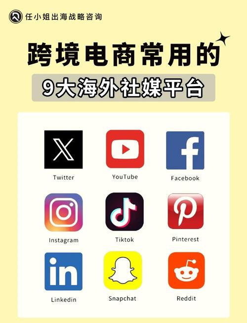 Twitter专业加粉平台_推特粉丝业务平台_精准Twitter粉丝增长策略